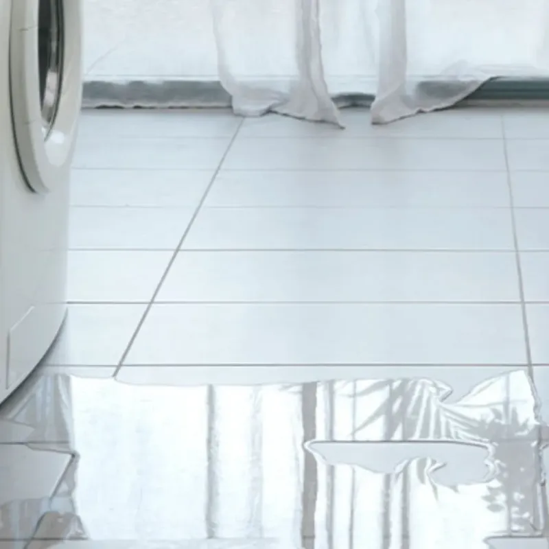 Appliance Leak Cleanup in Seabrook, NH
