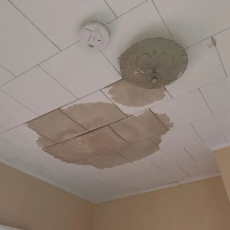 Ceiling Water Damage Repair in Seabrook, NH