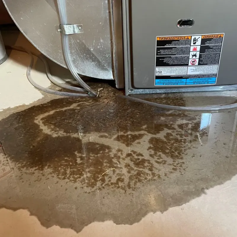 Pipe Burst and Leak Restoration in Seabrook, NH